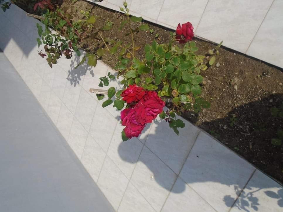 House Filippos Apartamento *